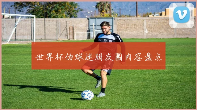 世界杯伪球迷朋友圈内容盘点