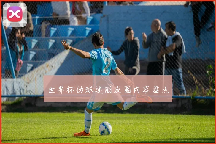 世界杯伪球迷朋友圈内容盘点