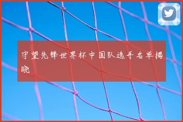 守望先锋世界杯中国队选手名单揭晓